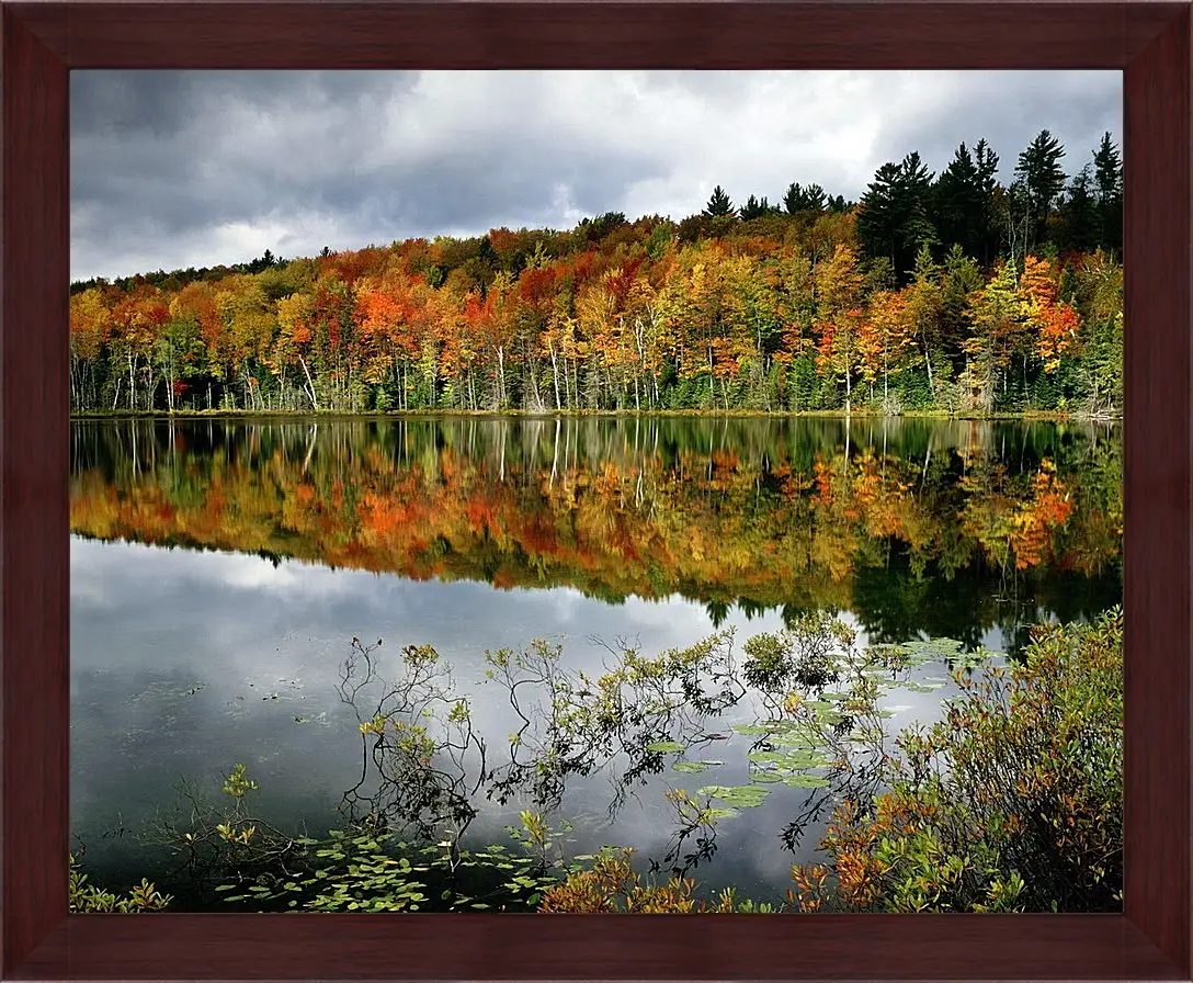 Картина в раме - Осень