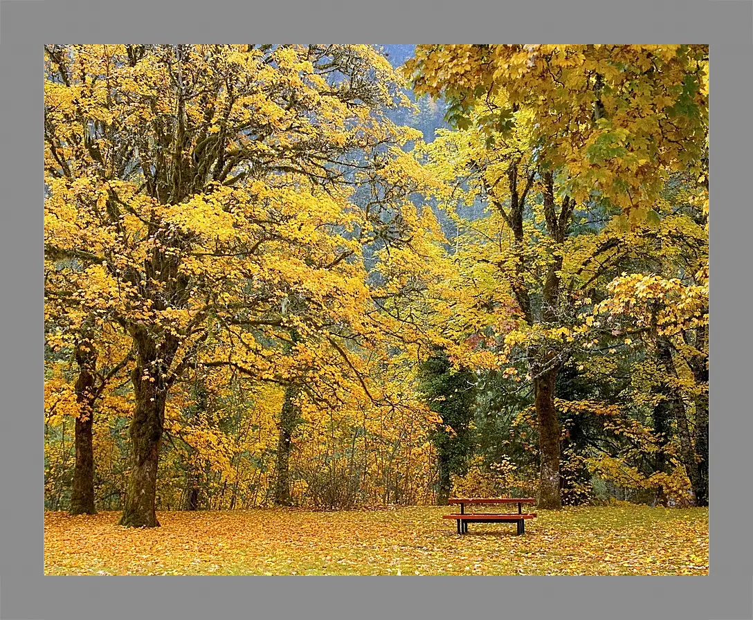 Картина в раме - Осень