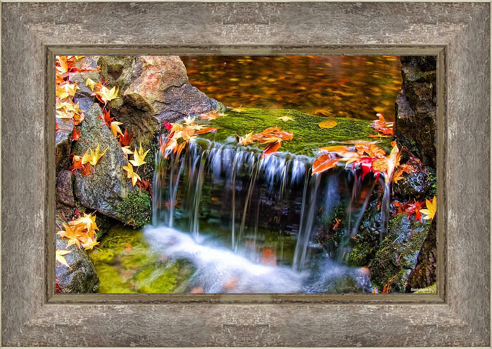 Картина в раме - Осень