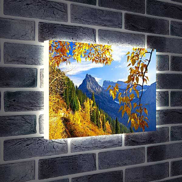 Лайтбокс световая панель - Осень