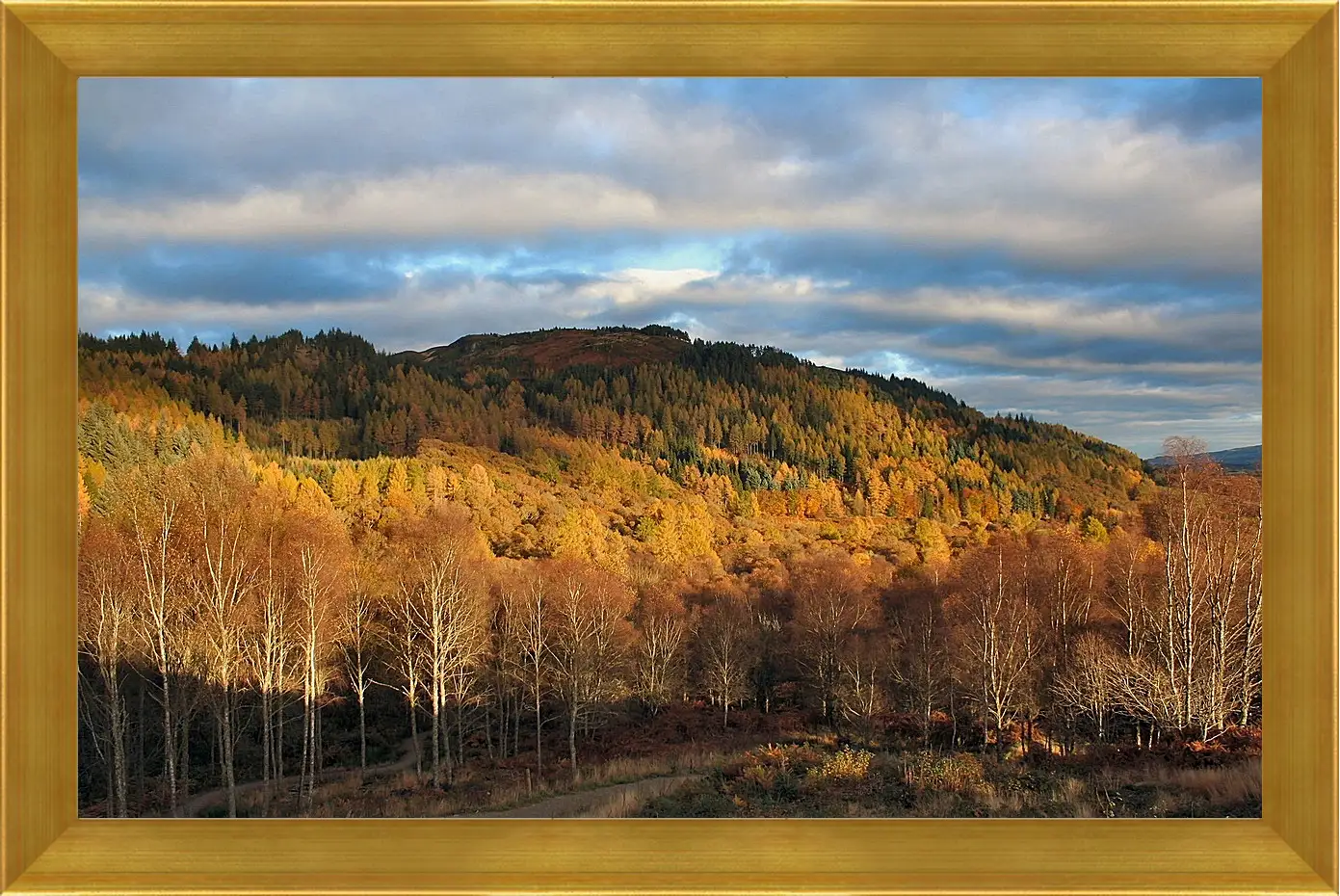 Картина в раме - Осень