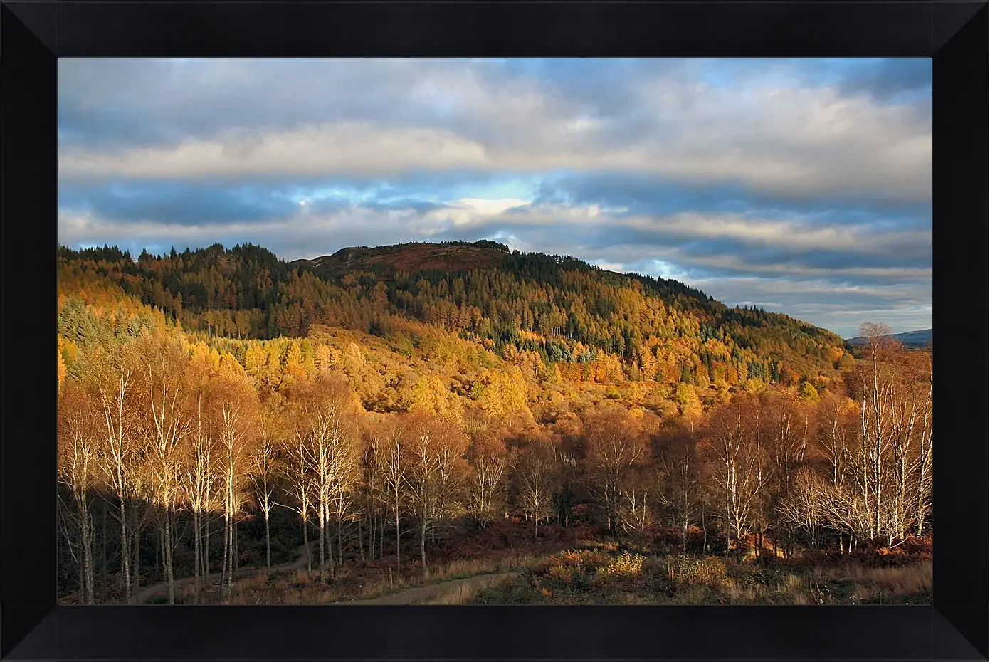 Картина в раме - Осень