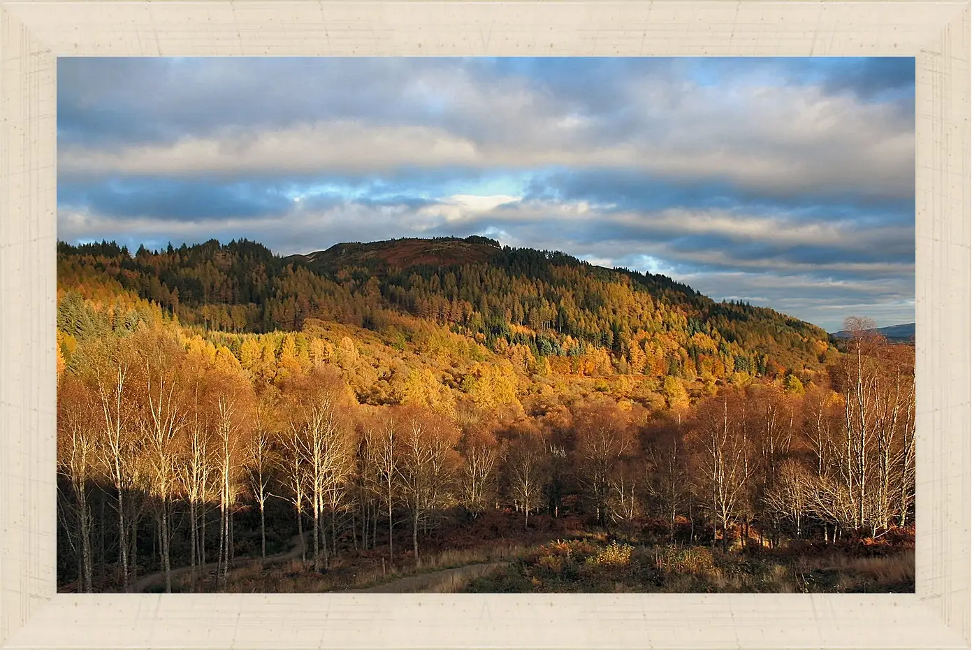 Картина в раме - Осень