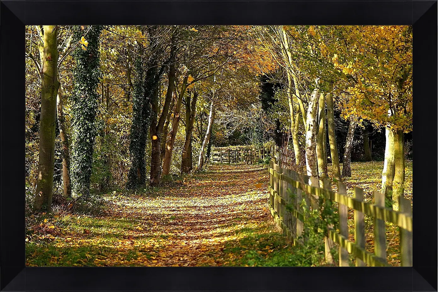 Картина в раме - Осень