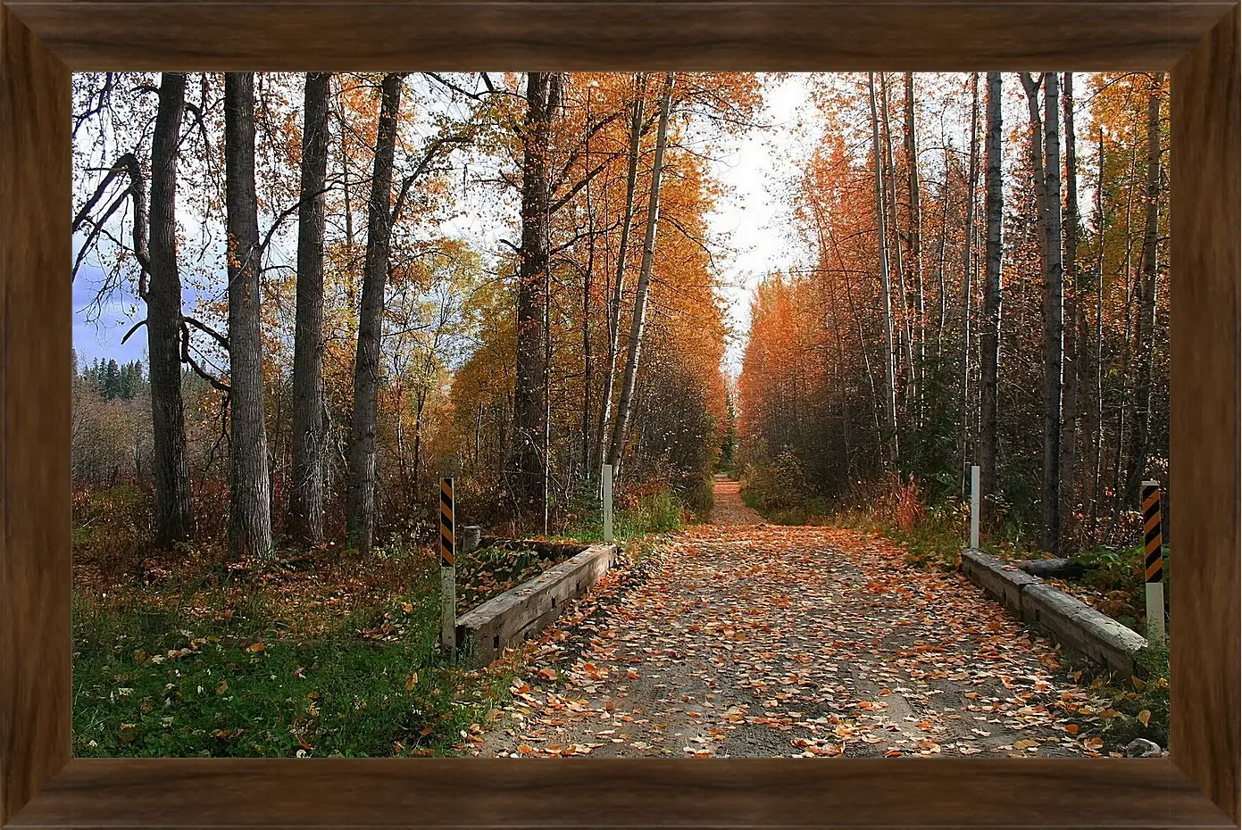 Картина в раме - Осень