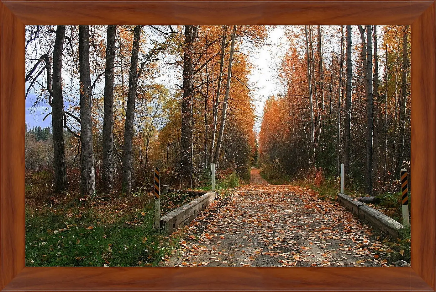 Картина в раме - Осень