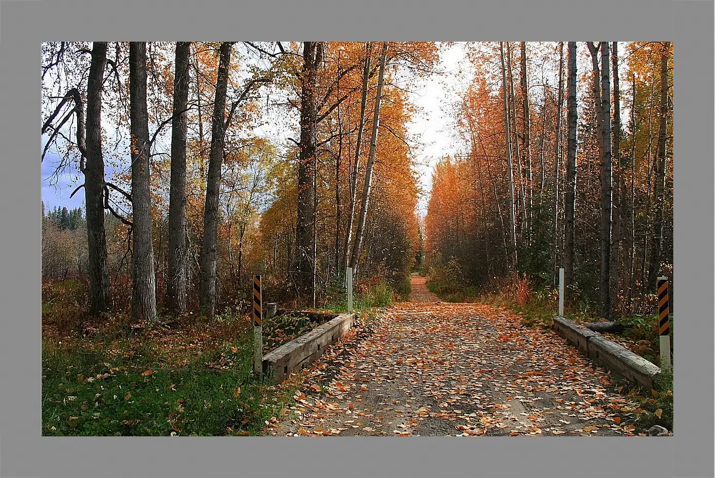 Картина в раме - Осень