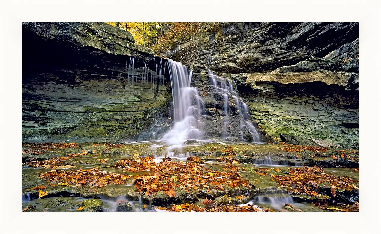 Картина в раме - Осень