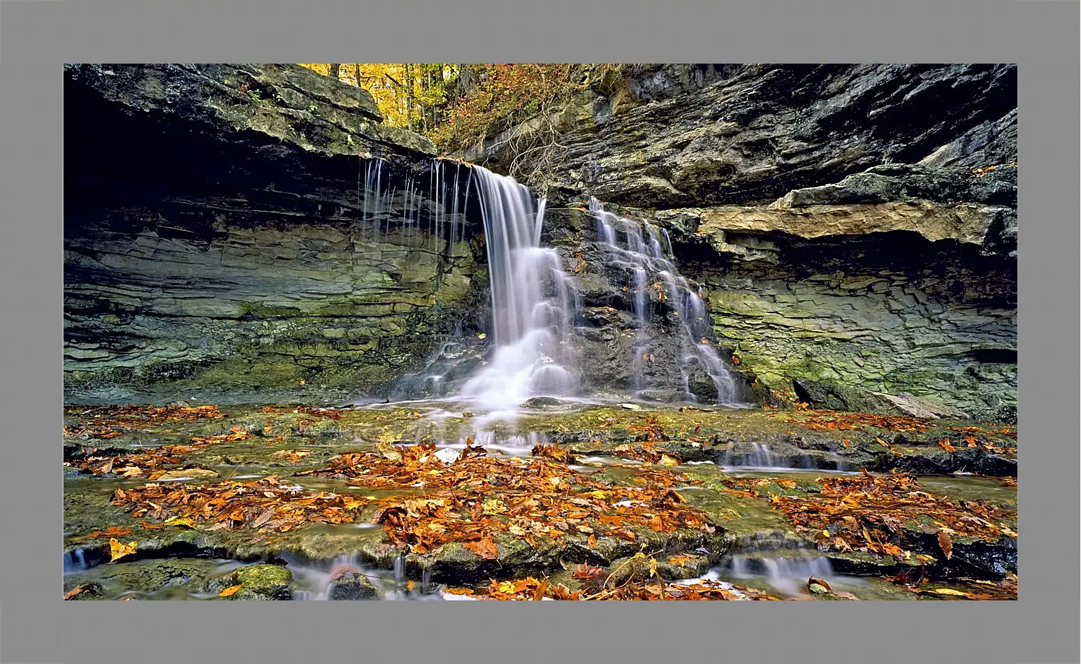 Картина в раме - Осень