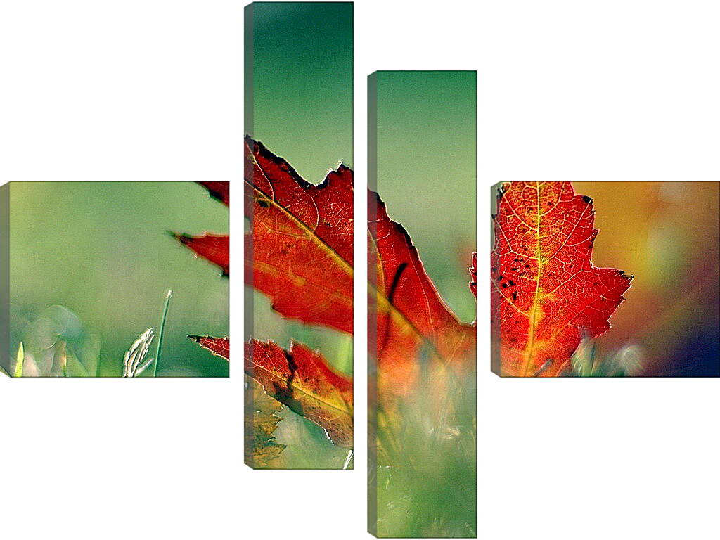 Модульная картина - Осенний кленовый лист
