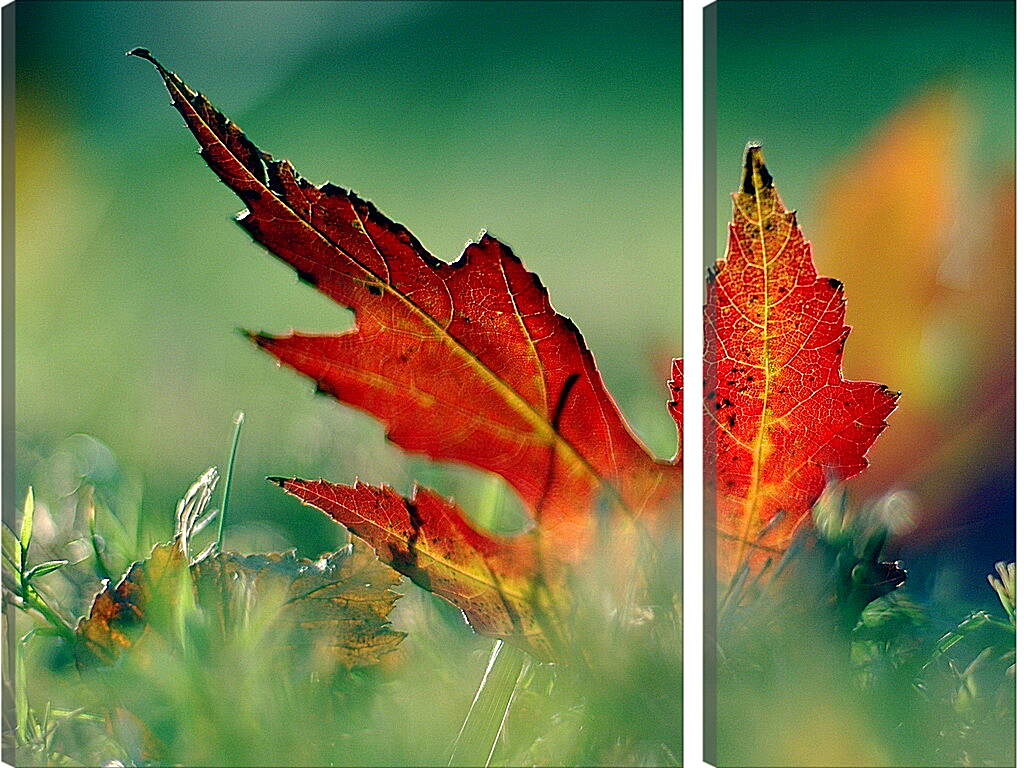 Модульная картина - Осенний кленовый лист