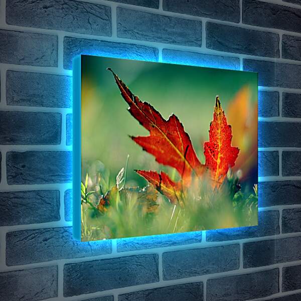 Лайтбокс световая панель - Осенний кленовый лист