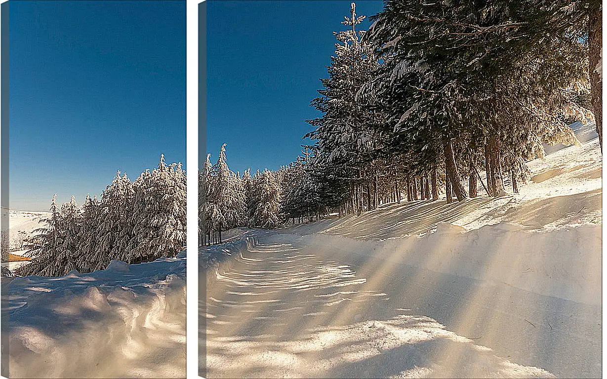 Модульная картина - Зима