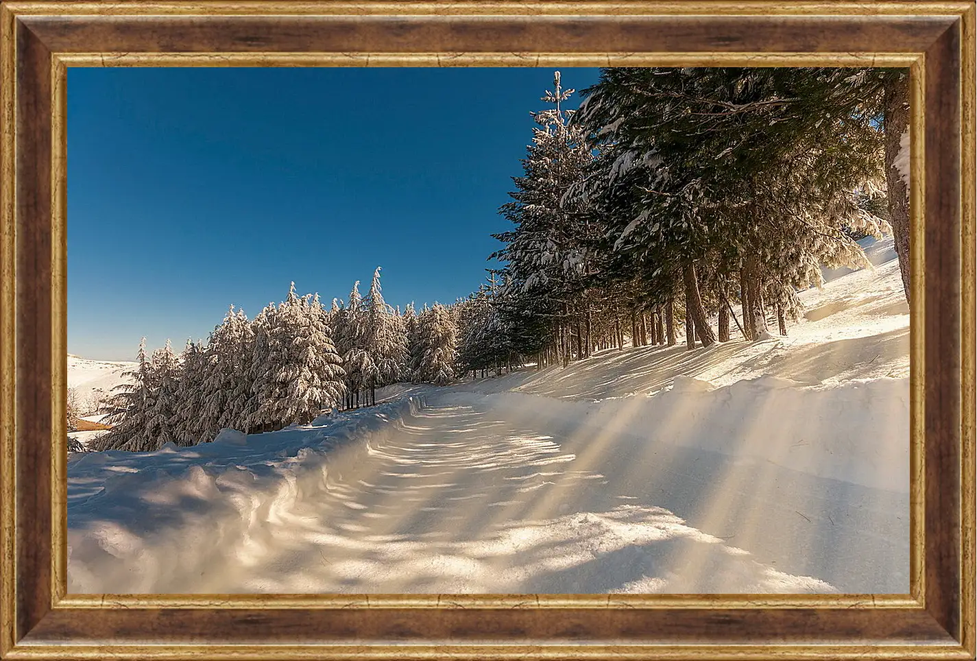 Картина в раме - Зима