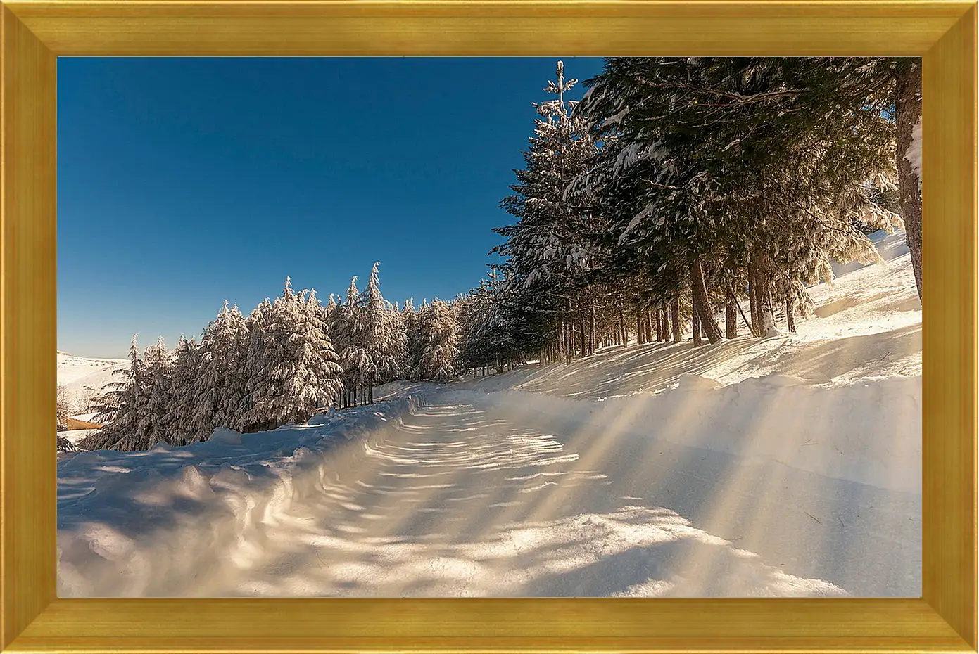 Картина в раме - Зима