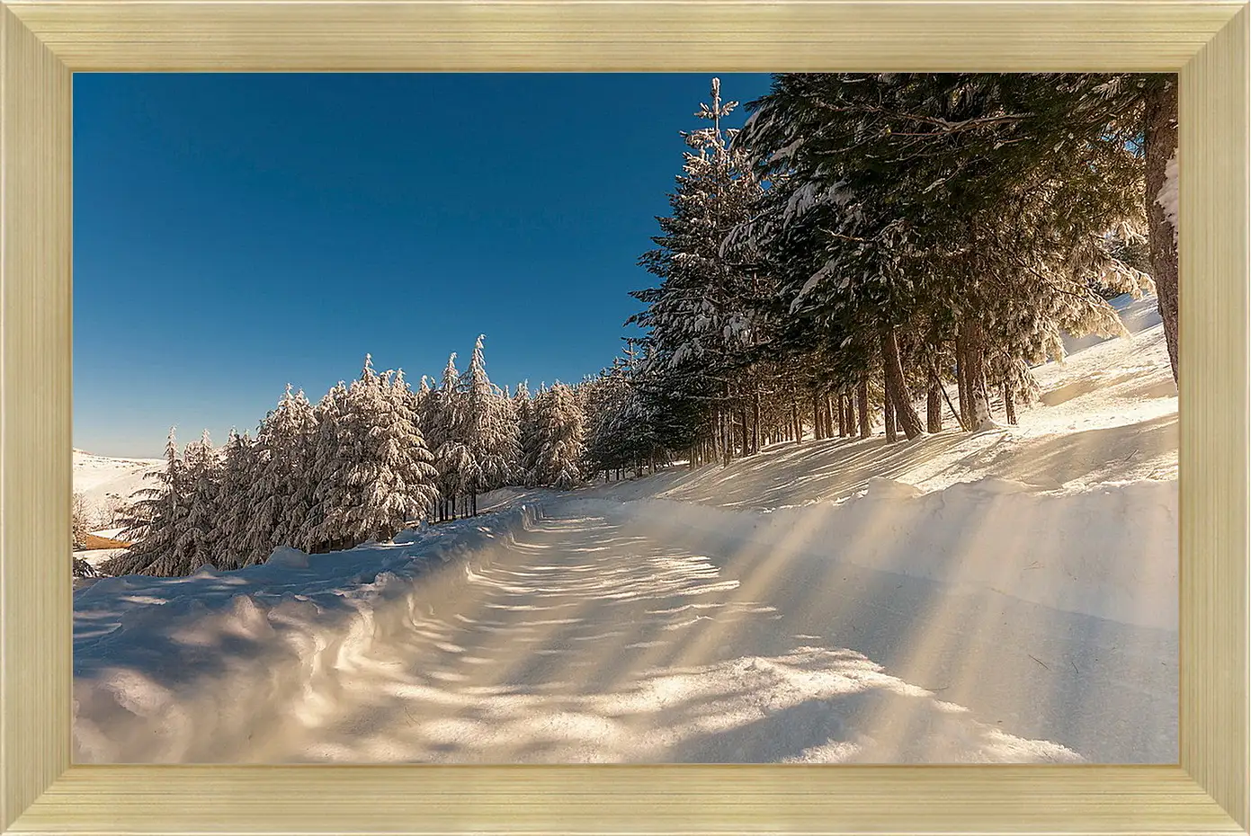 Картина в раме - Зима