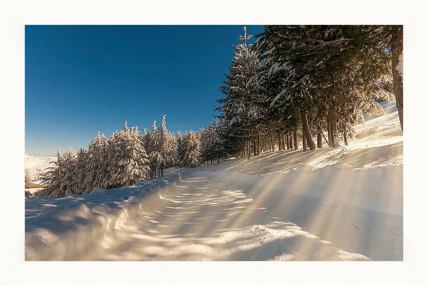 Картина в раме - Зима