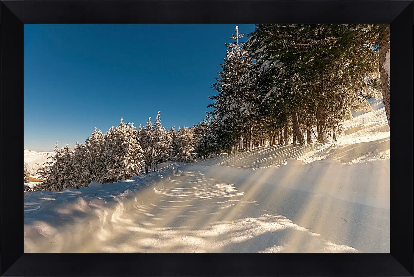 Картина в раме - Зима