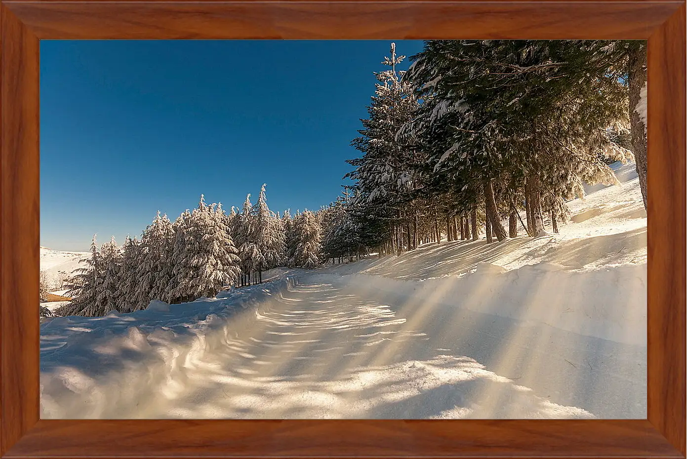 Картина в раме - Зима