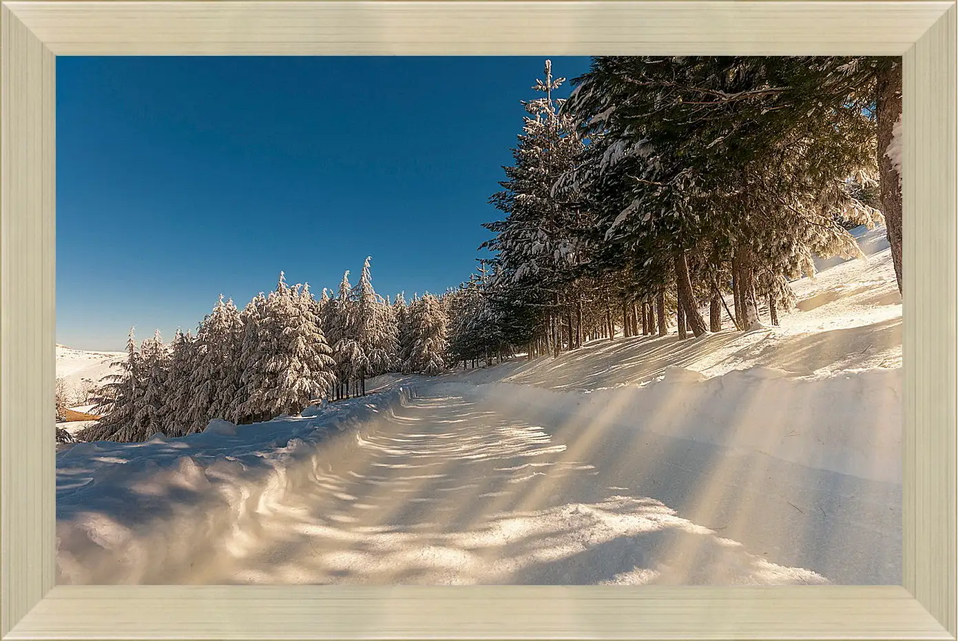 Картина в раме - Зима