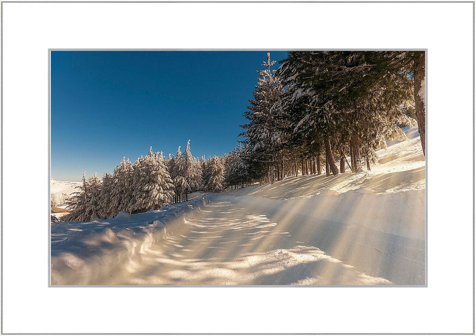 Картина в раме - Зима