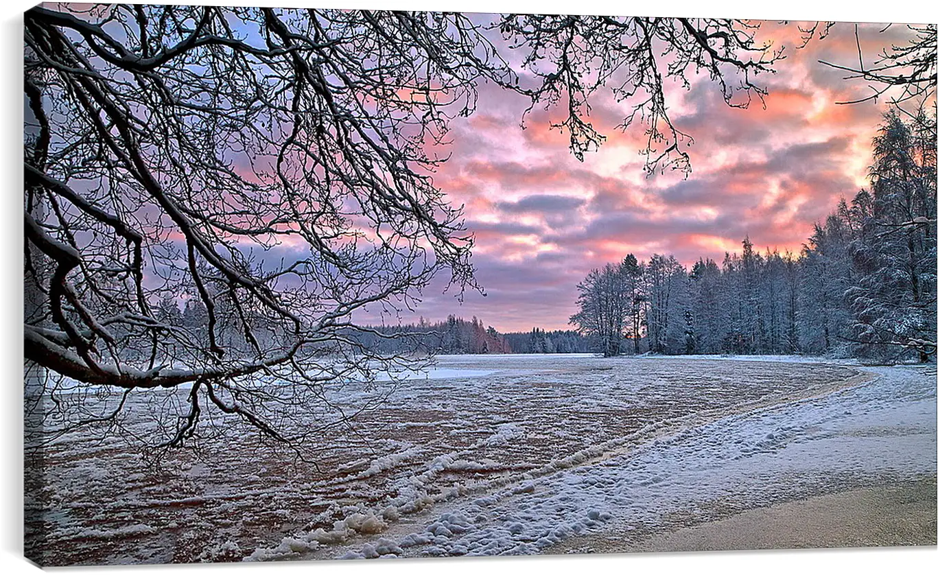 Постер и плакат - Зима