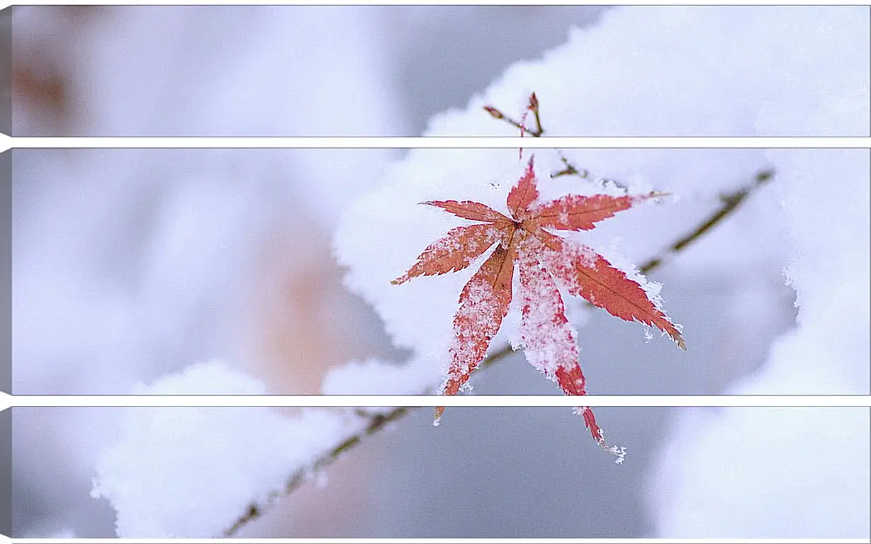 Модульная картина - Зима