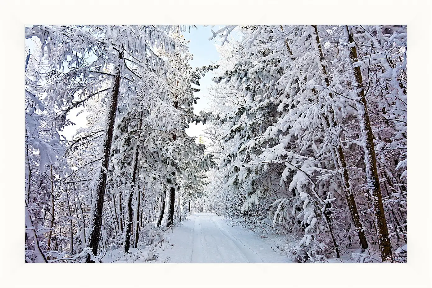 Картина в раме - Зима