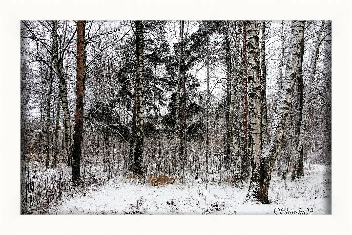 Картина в раме - Зима