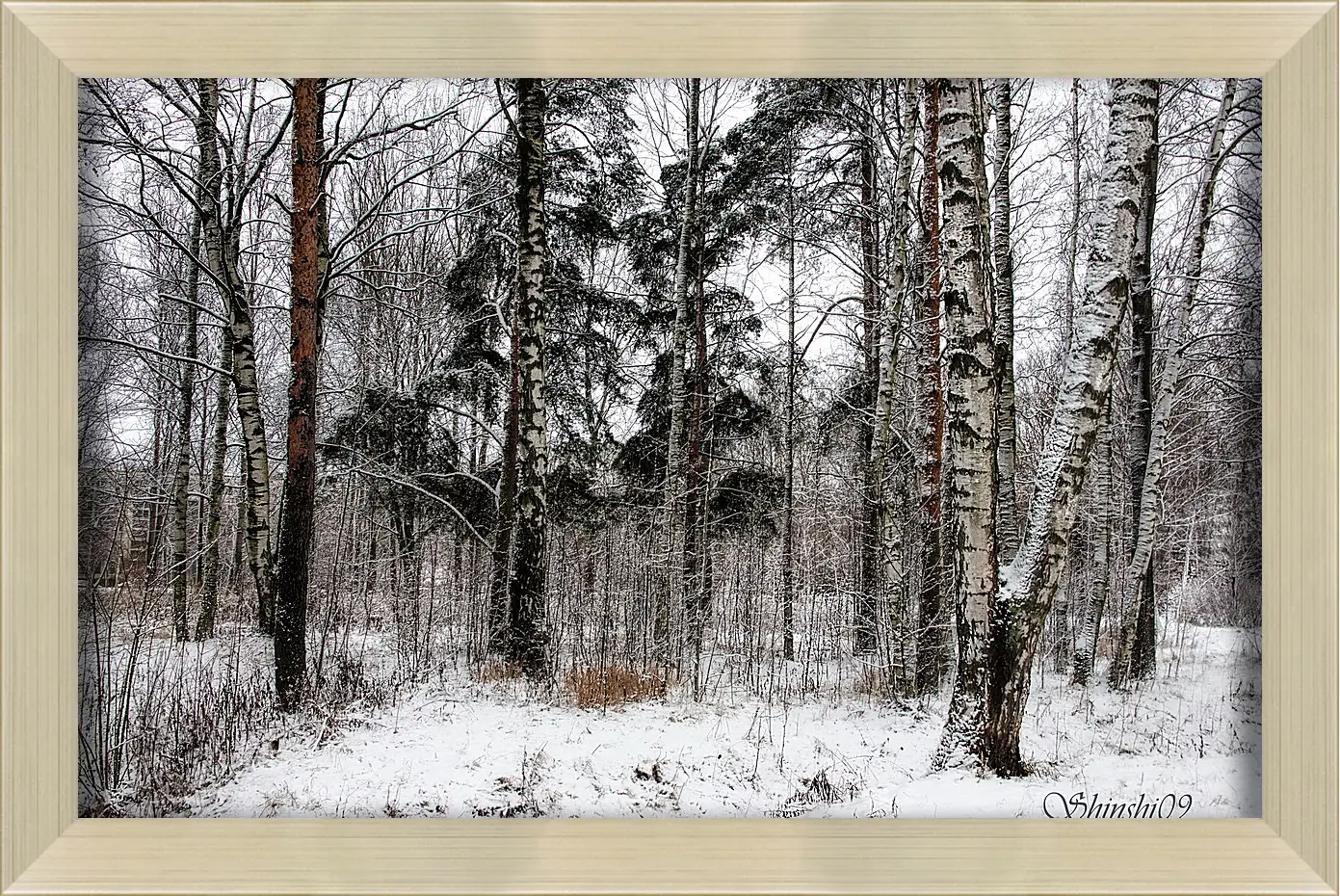 Картина в раме - Зима