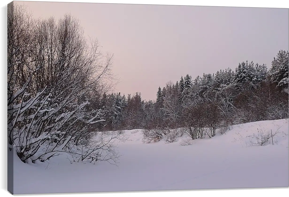 Постер и плакат - Зима