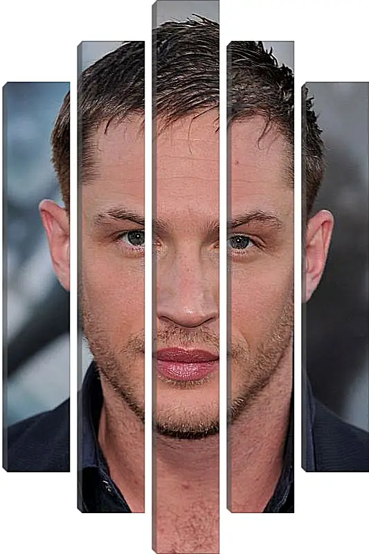 Модульная картина - Том Харди. Tom Hardy