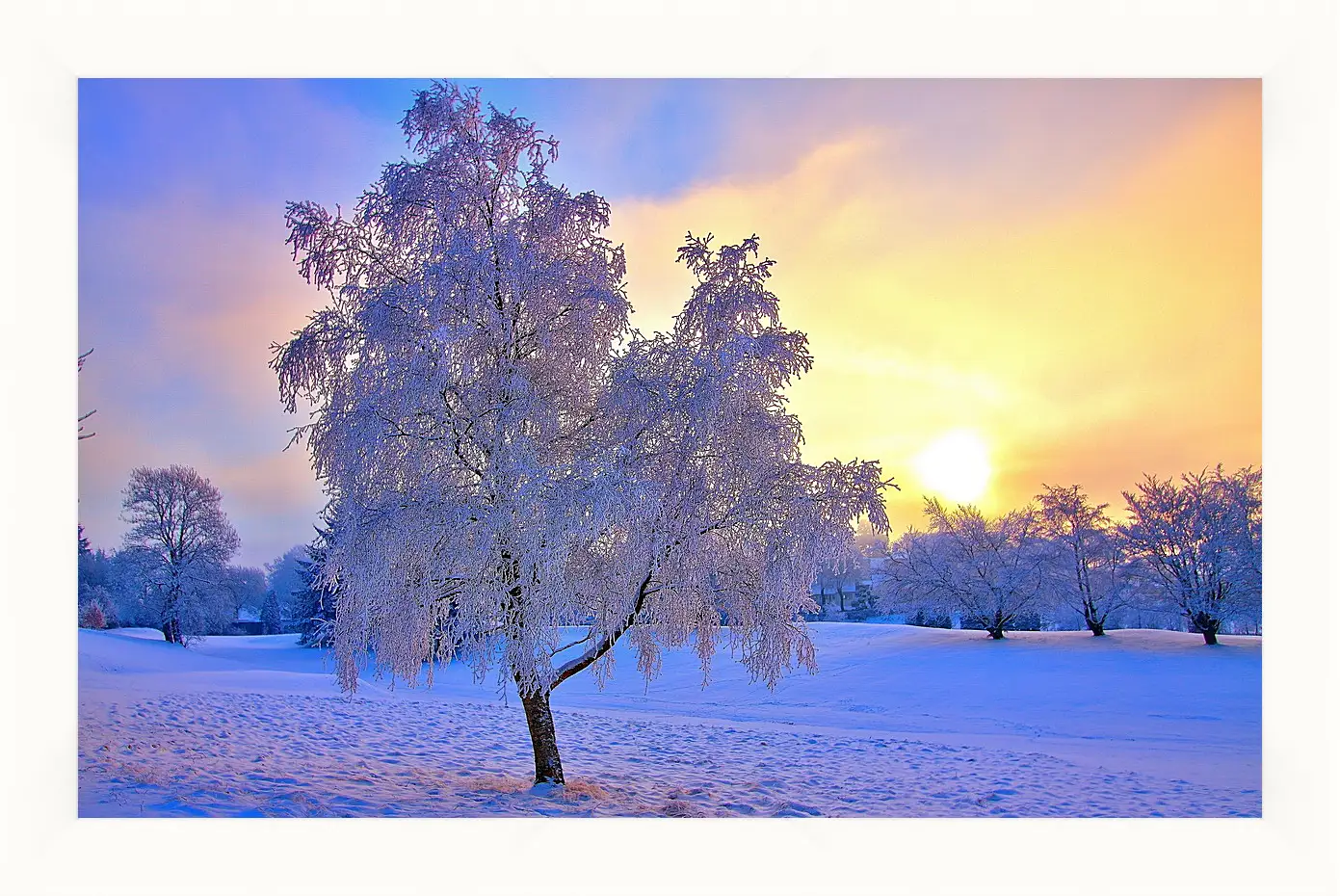 Картина в раме - Зима