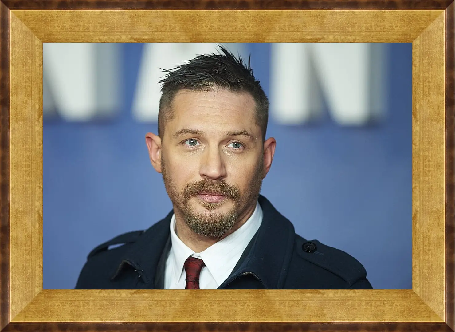 Картина в раме - Том Харди. Tom Hardy