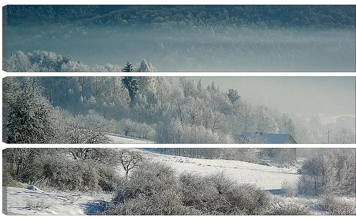 Модульная картина - Зима