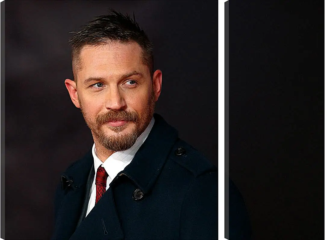 Модульная картина - Том Харди. Tom Hardy