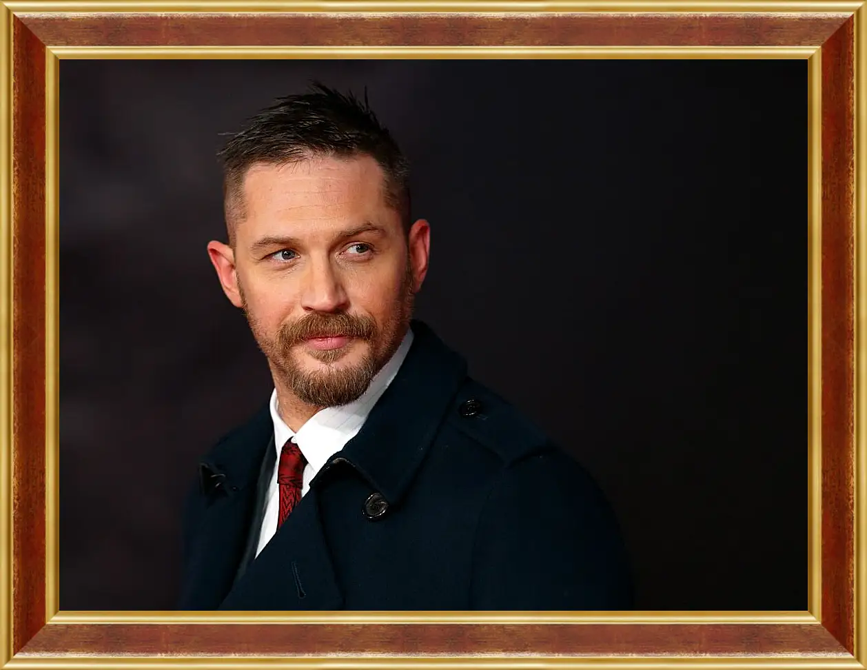 Картина в раме - Том Харди. Tom Hardy