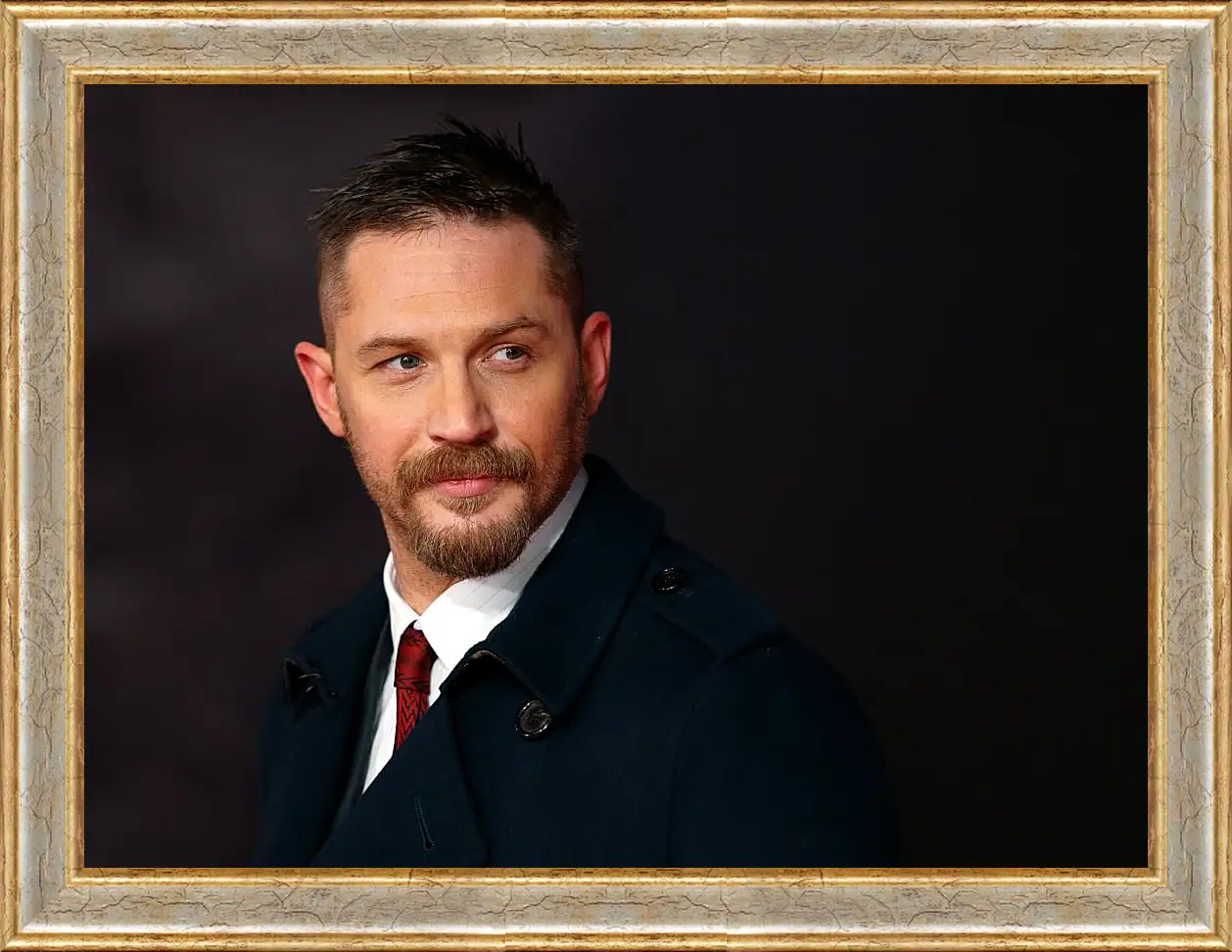 Картина в раме - Том Харди. Tom Hardy