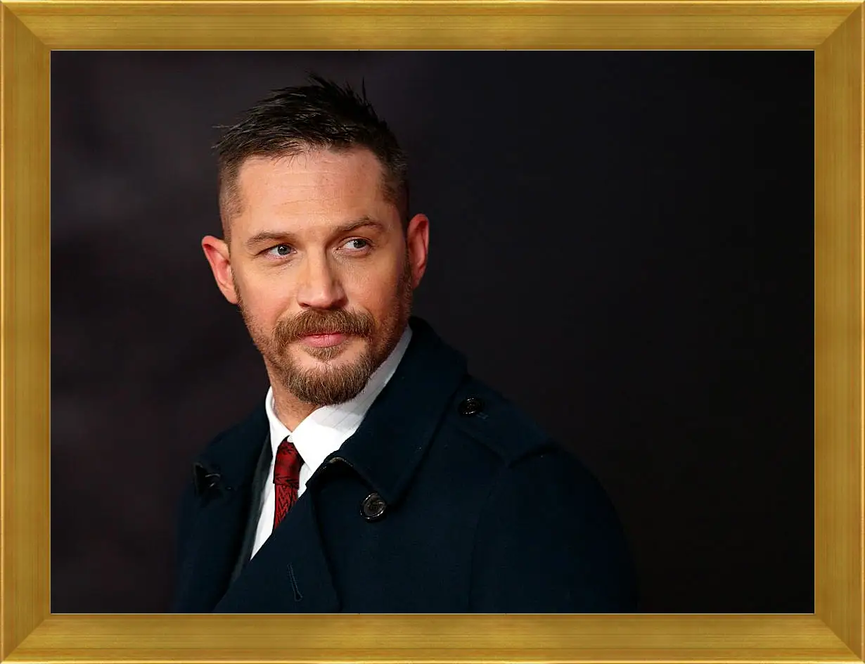 Картина в раме - Том Харди. Tom Hardy