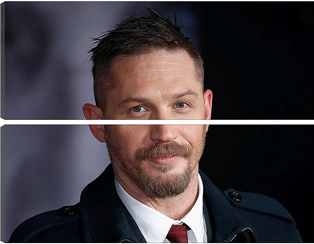 Модульная картина - Том Харди. Tom Hardy