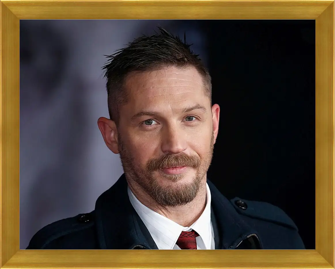 Картина в раме - Том Харди. Tom Hardy