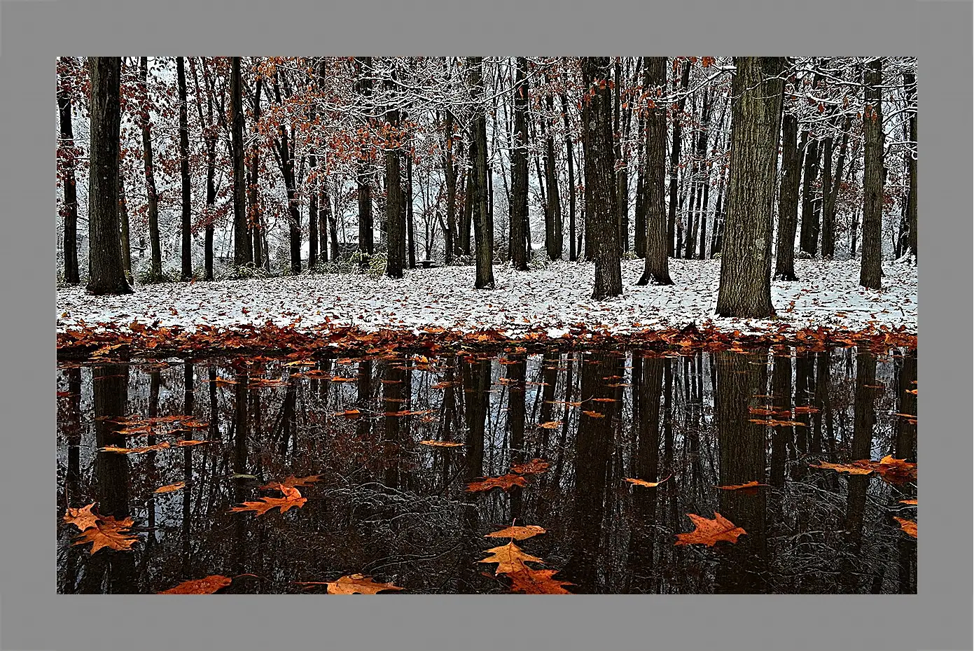 Картина в раме - Зима