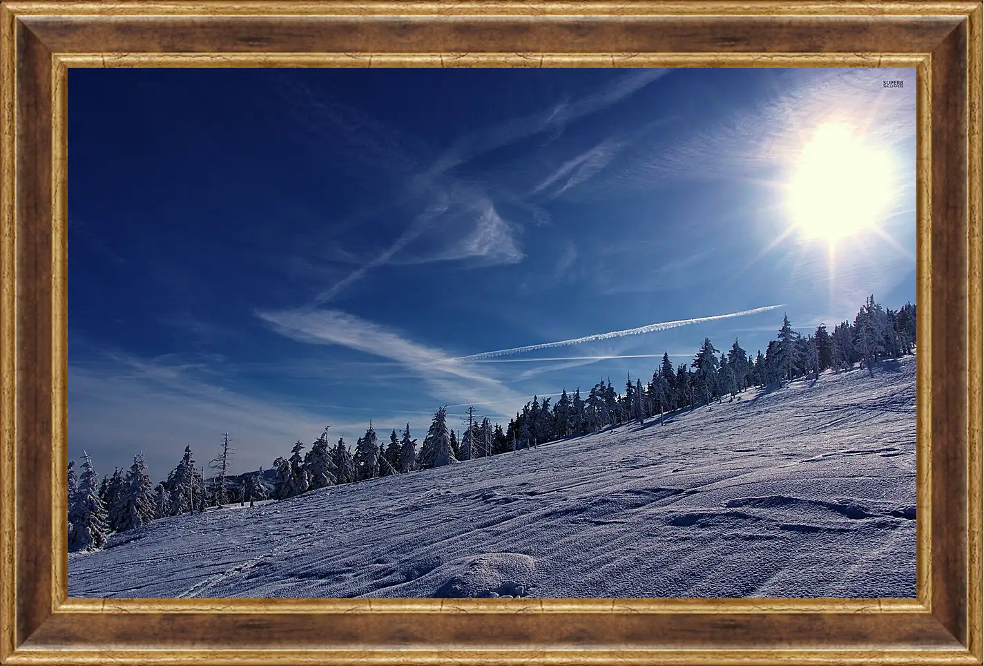 Картина в раме - Зима