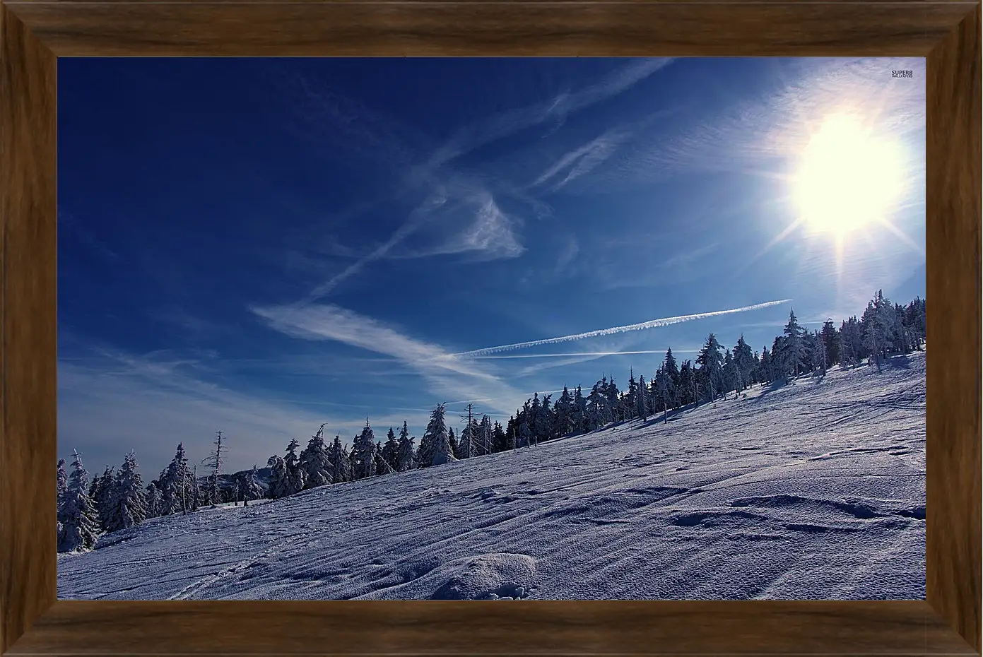 Картина в раме - Зима