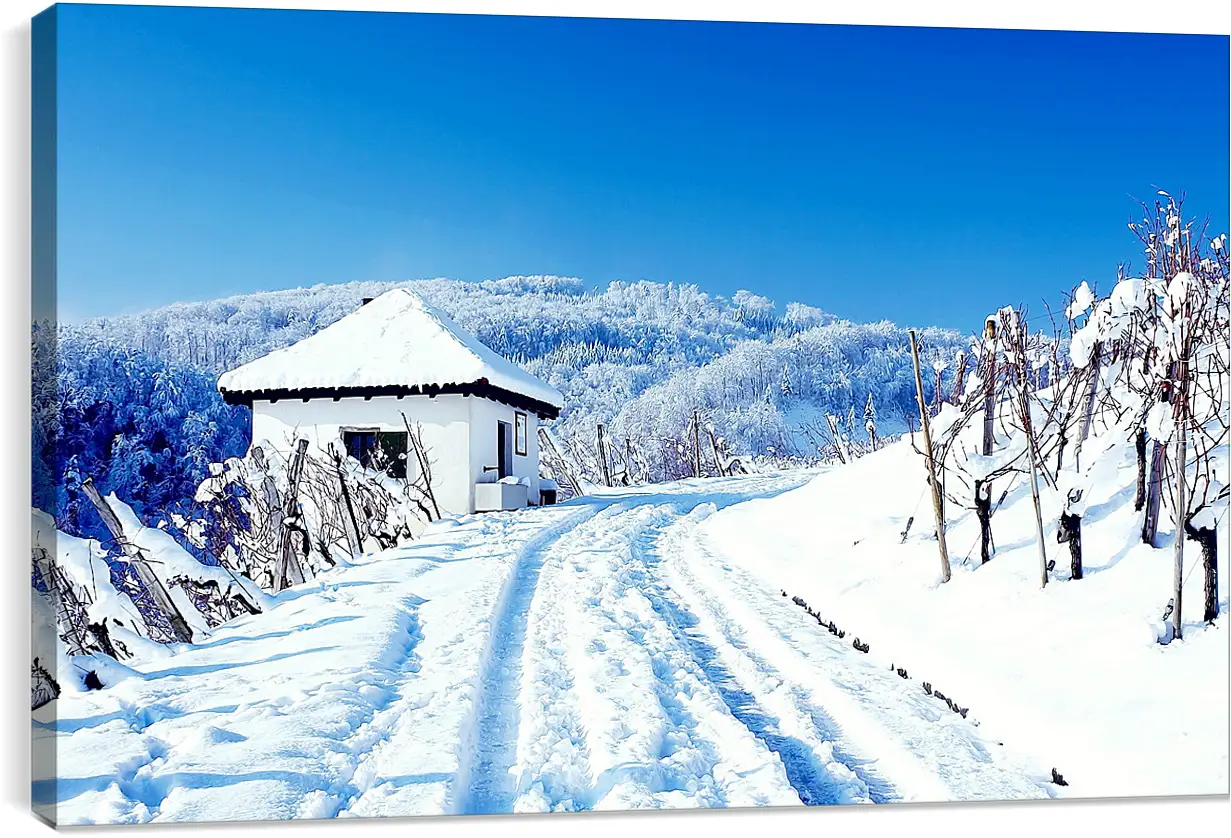 Постер и плакат - Зима