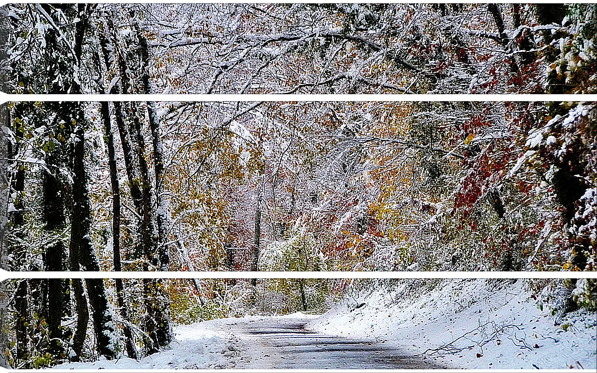 Модульная картина - Зима