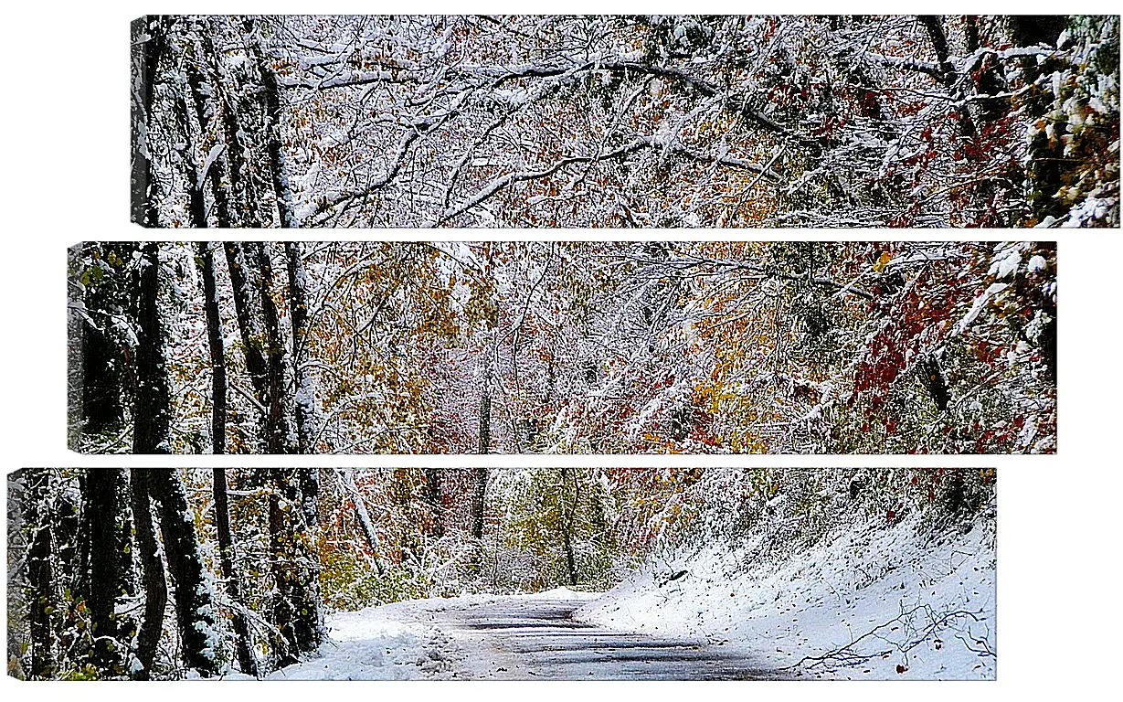 Модульная картина - Зима