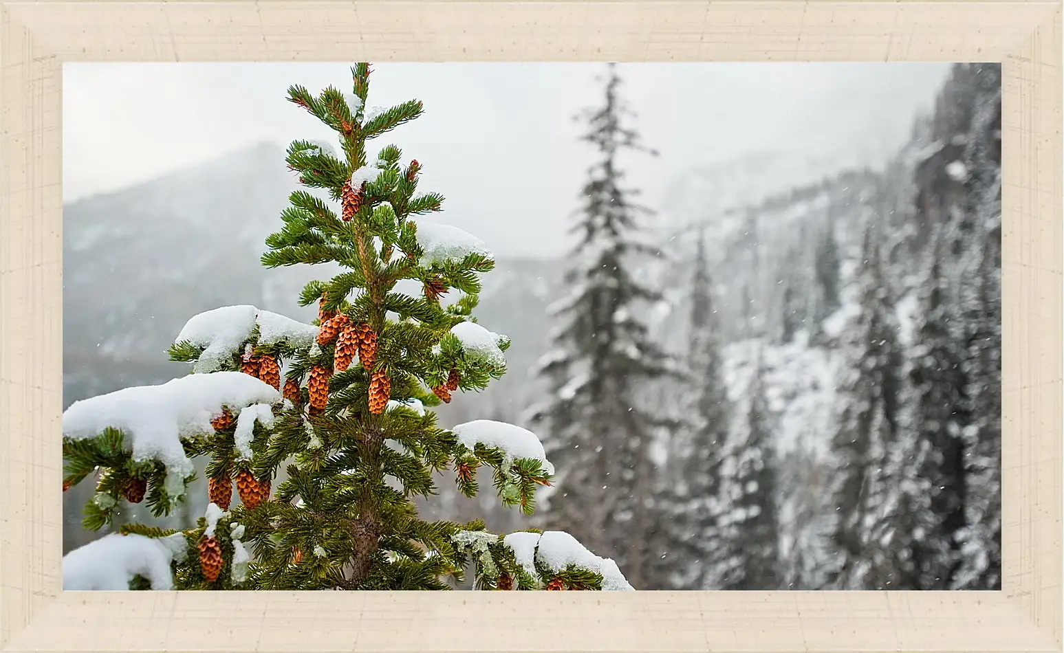 Картина в раме - Зима