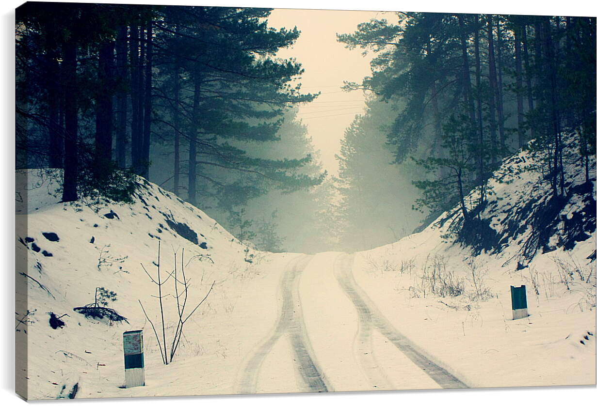 Постер и плакат - Зима