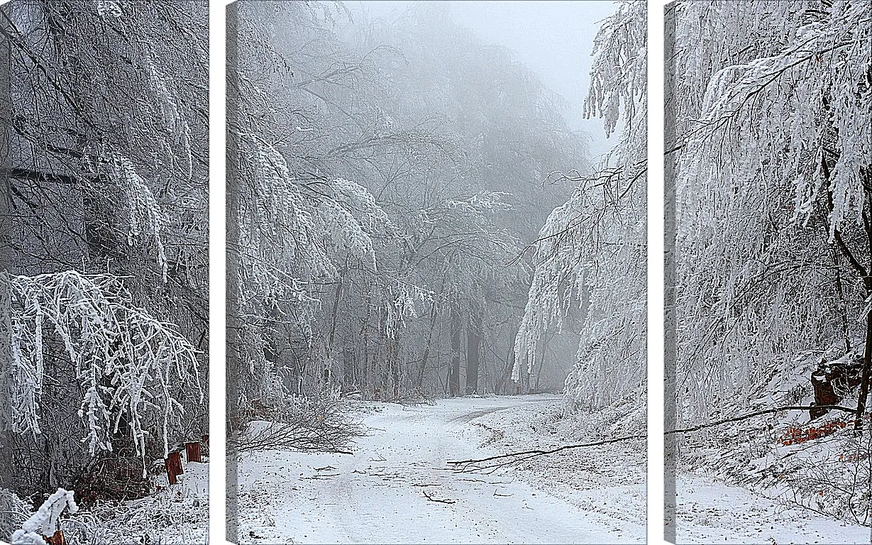 Модульная картина - Зима